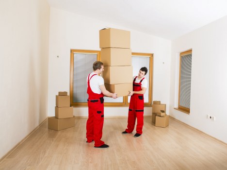 Small business transport and delivery service in Bellingham