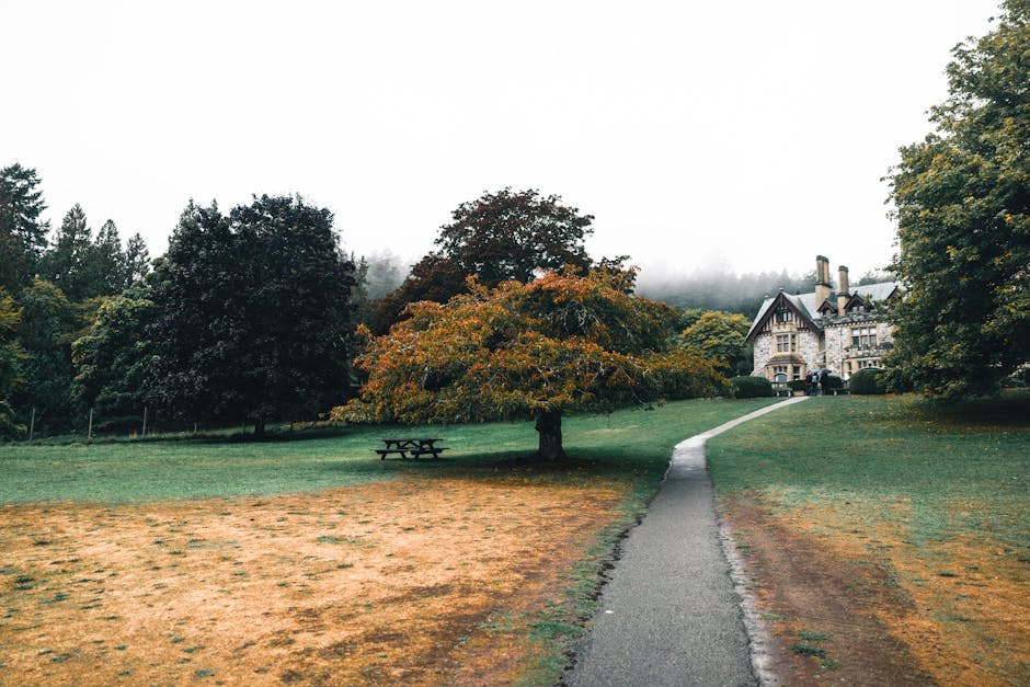 View of a residential street in Bellingham featuring a small park with a curved pathway made of dark asphalt, surrounded by fallen leaves and green grass. Several large, leafless trees with textured bark are visible in the park area. In the background, there are multi-storey Victorian-style houses with bay windows, painted in light pastel colors, some with flagpoles and hanging baskets near the windows. Parked cars, including a silver hatchback and a white van, line the street alongside a sidewalk adjacent to the park. A small black trash bin is positioned near the pathway. The scene depicts a typical urban setting suitable for house removals and home relocation logistics, as managed by Man with Van Bellingham, featuring environmental elements and the logistics involved in furniture transport and packing within a residential area.