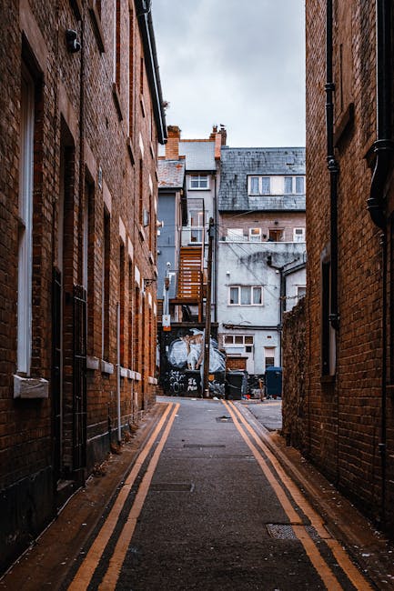 A narrow residential street in Bellingham with stone terraced houses on both sides. The houses have small bay windows and satellite dishes attached to the exterior walls. The street is lined with gree