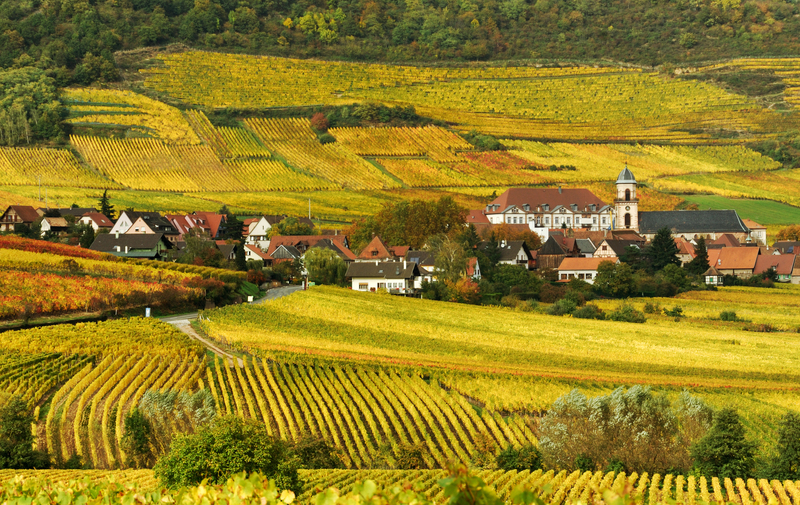 moving house Packing