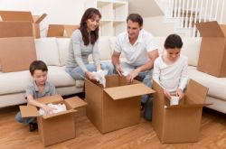 SE6 Movers Bellingham